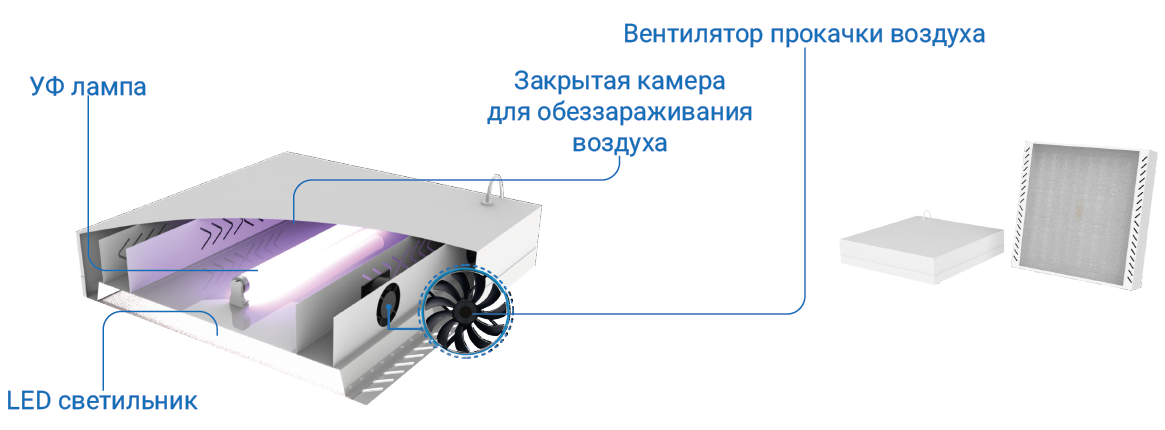225.png 225.png